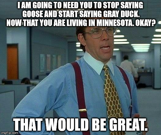 That Would Be Great | I AM GOING TO NEED YOU TO STOP SAYING GOOSE AND START SAYING GRAY DUCK. NOW THAT YOU ARE LIVING IN MINNESOTA. OKAY? THAT WOULD BE GREAT. | image tagged in memes,that would be great | made w/ Imgflip meme maker