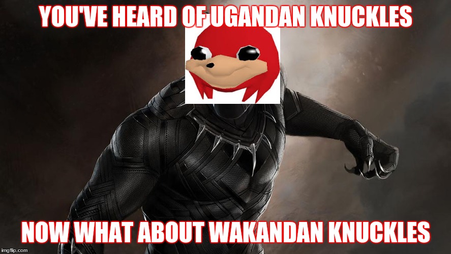 The true Black Panther | YOU'VE HEARD OF UGANDAN KNUCKLES; NOW WHAT ABOUT WAKANDAN KNUCKLES | image tagged in ugandan knuckles,black panther | made w/ Imgflip meme maker