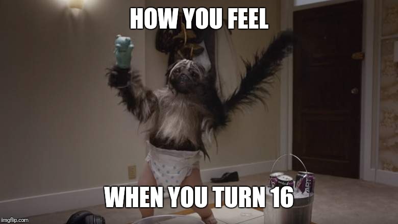 Puppymonkeybaby  | HOW YOU FEEL; WHEN YOU TURN 16 | image tagged in puppymonkeybaby | made w/ Imgflip meme maker