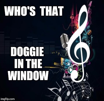 WHO'S  THAT DOGGIE IN THE WINDOW | made w/ Imgflip meme maker