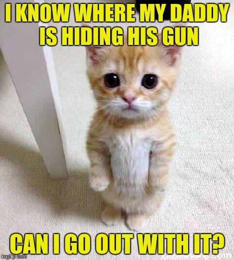 Cute Cat Meme | I KNOW WHERE MY DADDY IS HIDING HIS GUN; CAN I GO OUT WITH IT? | image tagged in memes,cute cat | made w/ Imgflip meme maker