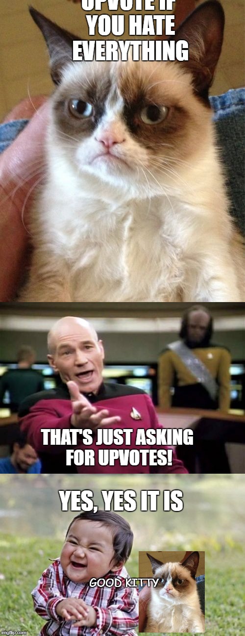 Much the true | UPVOTE IF YOU HATE EVERYTHING; THAT'S JUST ASKING FOR UPVOTES! YES, YES IT IS; GOOD KITTY | image tagged in memes,so true memes,funny meme,grumpy cat | made w/ Imgflip meme maker
