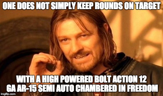 One Does Not Simply Meme | ONE DOES NOT SIMPLY KEEP ROUNDS ON TARGET; WITH A HIGH POWERED BOLT ACTION 12 GA AR-15 SEMI AUTO CHAMBERED IN FREEDOM | image tagged in memes,one does not simply | made w/ Imgflip meme maker