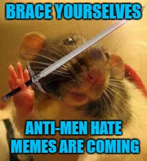 The end is nigh! | BRACE YOURSELVES; ANTI-MEN HATE MEMES ARE COMING | image tagged in brace yourselves x is coming,hate | made w/ Imgflip meme maker