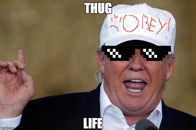 Donald Trump Blank MAGA Hat | THUG; LIFE | image tagged in donald trump blank maga hat | made w/ Imgflip meme maker