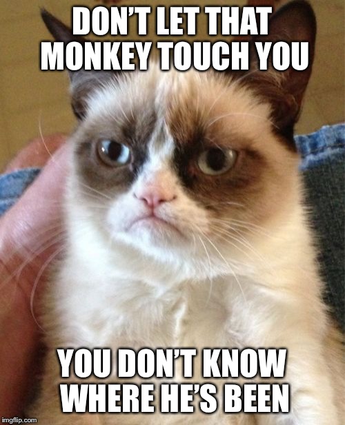 Grumpy Cat Meme | DON’T LET THAT MONKEY TOUCH YOU YOU DON’T KNOW WHERE HE’S BEEN | image tagged in memes,grumpy cat | made w/ Imgflip meme maker