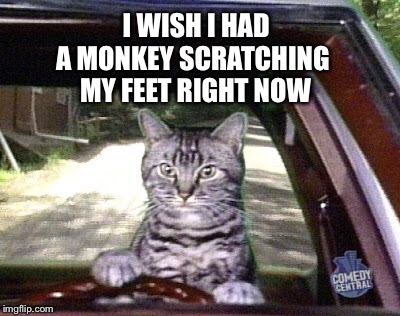 I WISH I HAD A MONKEY SCRATCHING MY FEET RIGHT NOW | made w/ Imgflip meme maker
