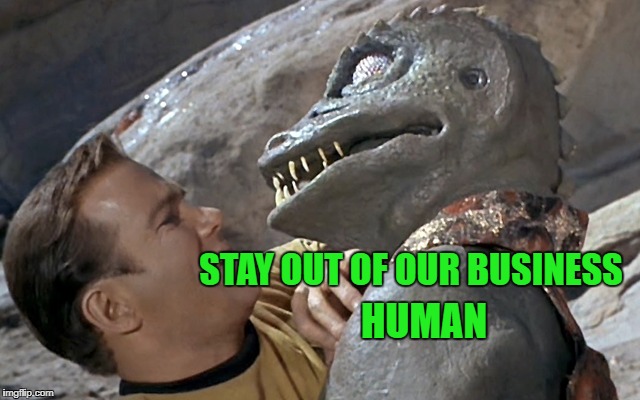 STAY OUT OF OUR BUSINESS HUMAN | made w/ Imgflip meme maker