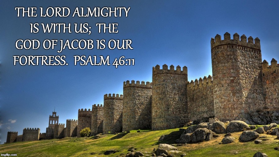 THE LORD ALMIGHTY IS WITH US; THE GOD OF JACOB IS OUR FORTRESS.

PSALM 46:11 | made w/ Imgflip meme maker