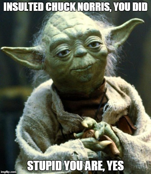 Yoda Chuck Norris | INSULTED CHUCK NORRIS, YOU DID; STUPID YOU ARE, YES | image tagged in memes,star wars yoda,chuck norris | made w/ Imgflip meme maker