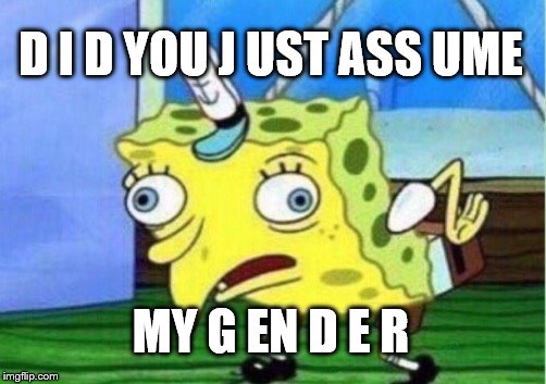 Mocking Spongebob Meme | D I D YOU J UST ASS UME MY G EN D E R | image tagged in memes,mocking spongebob | made w/ Imgflip meme maker