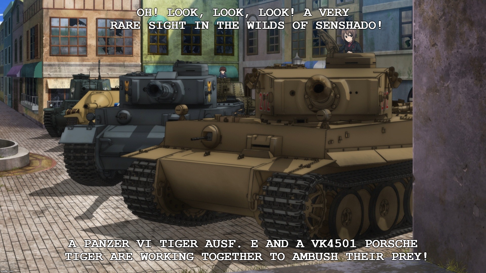 A rare sight in Senshado! | OH! LOOK, LOOK, LOOK! A VERY RARE SIGHT IN THE WILDS OF SENSHADO! A PANZER VI TIGER AUSF. E AND A VK4501 PORSCHE TIGER ARE WORKING TOGETHER TO AMBUSH THEIR PREY! | image tagged in anime,girls und panzer,gup | made w/ Imgflip meme maker