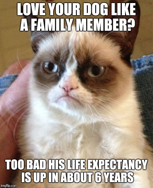 And... The truth hurts | LOVE YOUR DOG LIKE A FAMILY MEMBER? TOO BAD HIS LIFE EXPECTANCY IS UP IN ABOUT 6 YEARS | image tagged in memes,grumpy cat | made w/ Imgflip meme maker