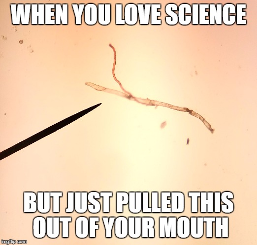 WHEN YOU LOVE SCIENCE; BUT JUST PULLED THIS OUT OF YOUR MOUTH | image tagged in science,parasites,gotta love the nerds | made w/ Imgflip meme maker