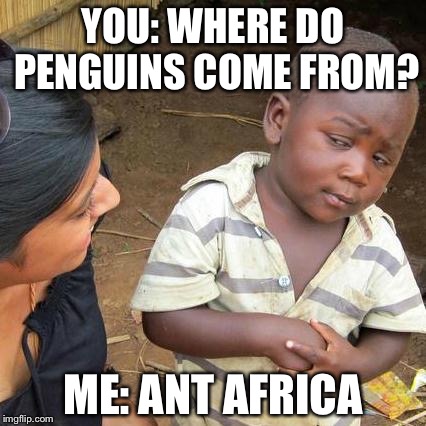Third World Skeptical Kid Meme | YOU: WHERE DO PENGUINS COME FROM? ME: ANT AFRICA | image tagged in memes,third world skeptical kid | made w/ Imgflip meme maker