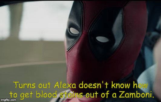 Turns out Alexa doesn't know how to get blood stains out of a Zamboni. | image tagged in deadpool | made w/ Imgflip meme maker