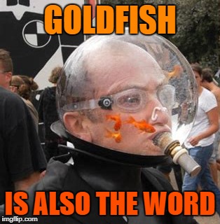 GOLDFISH IS ALSO THE WORD | made w/ Imgflip meme maker