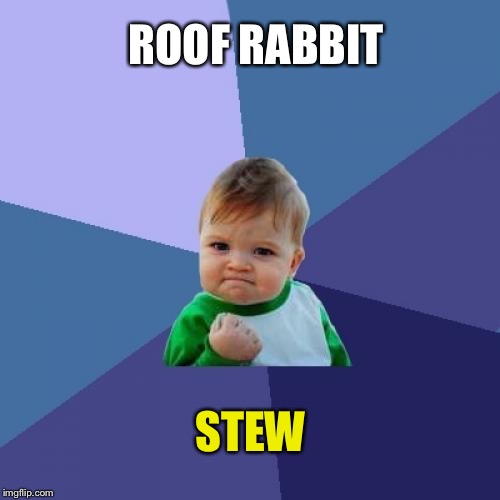 Success Kid Meme | ROOF RABBIT STEW | image tagged in memes,success kid | made w/ Imgflip meme maker