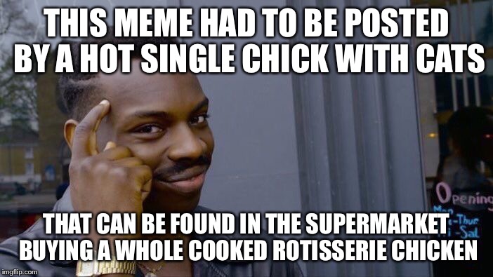 Roll Safe Think About It Meme | THIS MEME HAD TO BE POSTED BY A HOT SINGLE CHICK WITH CATS THAT CAN BE FOUND IN THE SUPERMARKET BUYING A WHOLE COOKED ROTISSERIE CHICKEN | image tagged in memes,roll safe think about it | made w/ Imgflip meme maker