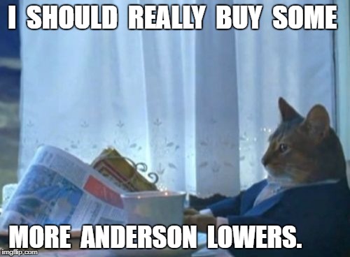 Image result for anderson ar15 meme