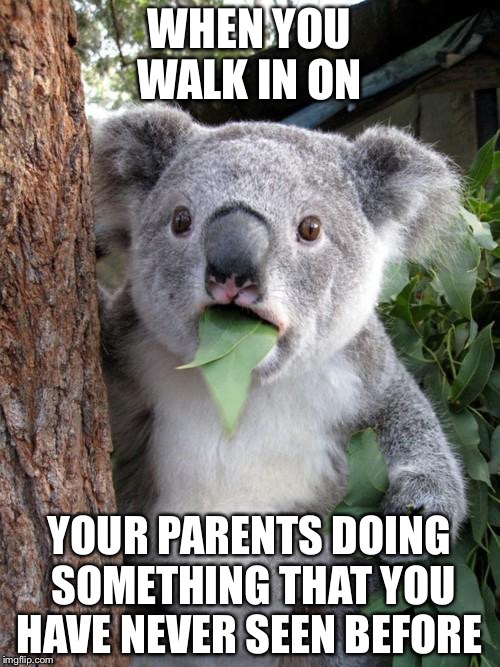 Surprised Koala | WHEN YOU WALK IN ON; YOUR PARENTS DOING SOMETHING THAT YOU HAVE NEVER SEEN BEFORE | image tagged in memes,surprised koala | made w/ Imgflip meme maker