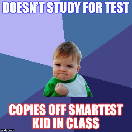 Success Kid Meme | DOESN’T STUDY FOR TEST; COPIES OFF SMARTEST KID IN CLASS | image tagged in memes,success kid | made w/ Imgflip meme maker