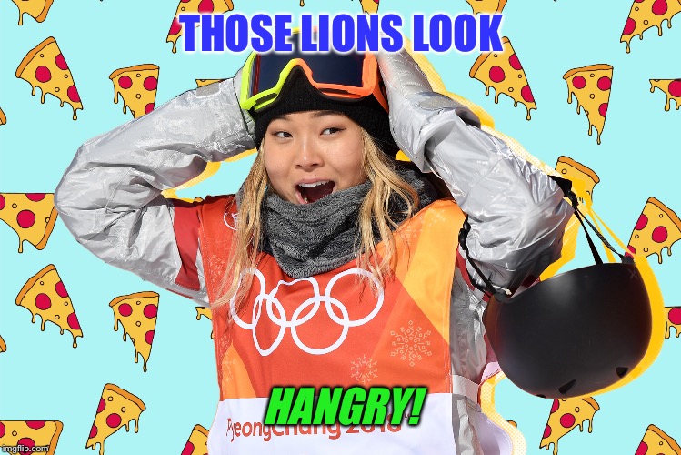 THOSE LIONS LOOK HANGRY! | made w/ Imgflip meme maker