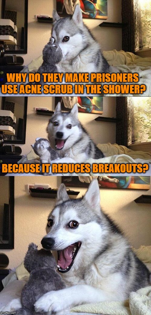 Bad Pun Dog | WHY DO THEY MAKE PRISONERS USE ACNE SCRUB IN THE SHOWER? BECAUSE IT REDUCES BREAKOUTS? | image tagged in memes,bad pun dog | made w/ Imgflip meme maker