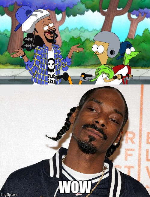 Snoop Dogg see himself on Sanjay & Craig | WOW | image tagged in snoop dogg,sanjay  craig | made w/ Imgflip meme maker