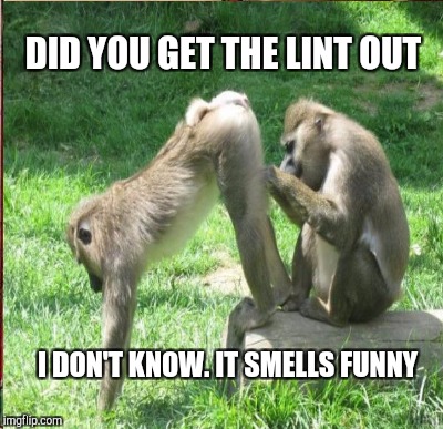 DID YOU GET THE LINT OUT I DON'T KNOW. IT SMELLS FUNNY | made w/ Imgflip meme maker