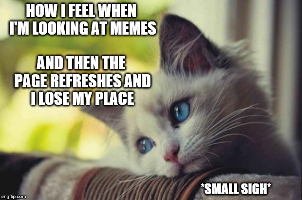 Can we get the option to bookmark where we left off? | HOW I FEEL WHEN I'M LOOKING AT MEMES; AND THEN THE PAGE REFRESHES AND I LOSE MY PLACE; *SMALL SIGH* | image tagged in sad cat,memes,page refresh,imgflip | made w/ Imgflip meme maker