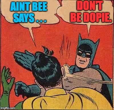 Batman Slapping Robin Meme | AINT BEE SAYS . . . DON'T BE DOPIE. | image tagged in memes,batman slapping robin | made w/ Imgflip meme maker