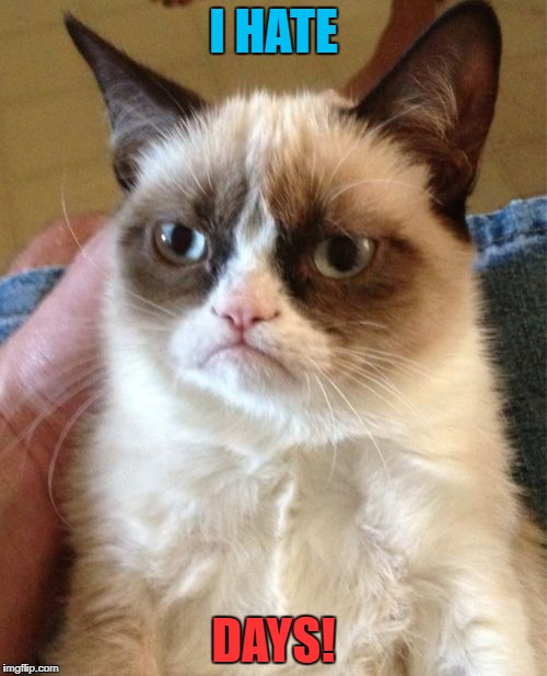 Grumpy Cat Meme | I HATE DAYS! | image tagged in memes,grumpy cat | made w/ Imgflip meme maker
