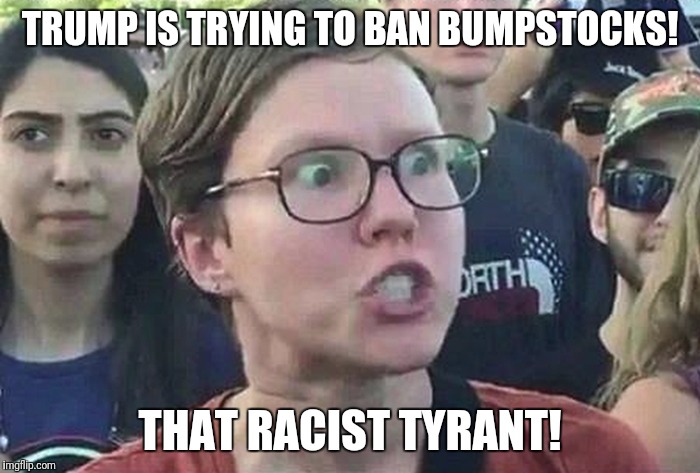 Triggered Liberal | TRUMP IS TRYING TO BAN BUMPSTOCKS! THAT RACIST TYRANT! | image tagged in triggered liberal | made w/ Imgflip meme maker
