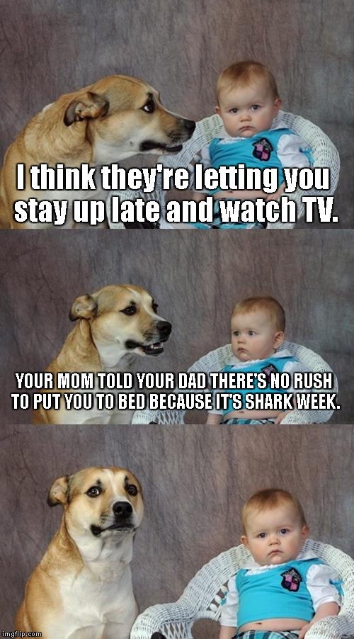 We'll stay up aaallll night! | I think they're letting you stay up late and watch TV. YOUR MOM TOLD YOUR DAD THERE'S NO RUSH TO PUT YOU TO BED BECAUSE IT'S SHARK WEEK. | image tagged in memes,dad joke dog | made w/ Imgflip meme maker