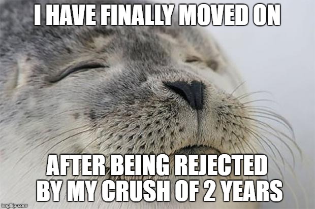 Satisfied Seal Meme | I HAVE FINALLY MOVED ON; AFTER BEING REJECTED BY MY CRUSH OF 2 YEARS | image tagged in memes,satisfied seal | made w/ Imgflip meme maker