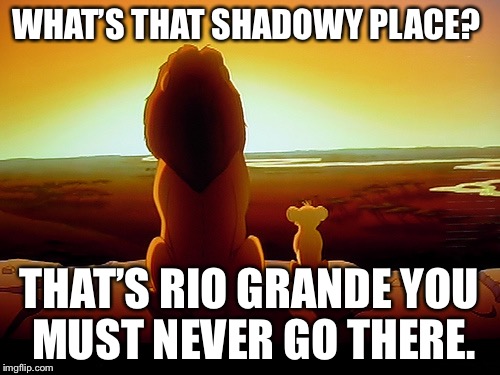 Lion King Meme | WHAT’S THAT SHADOWY PLACE? THAT’S RIO GRANDE YOU MUST NEVER GO THERE. | image tagged in memes,lion king | made w/ Imgflip meme maker