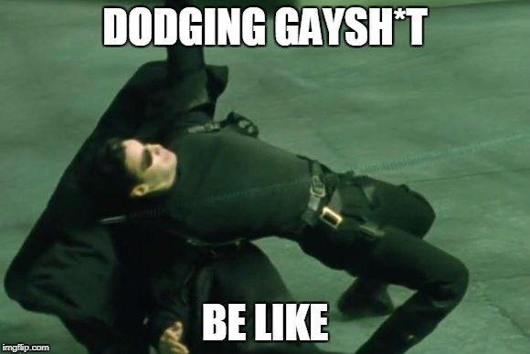 dodging gayshi*t | DODGING GAYSH*T; BE LIKE | image tagged in matrix,dodge | made w/ Imgflip meme maker