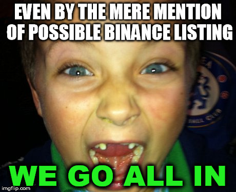 Binance listing | EVEN BY THE MERE MENTION OF POSSIBLE BINANCE LISTING; WE GO ALL IN | image tagged in binance | made w/ Imgflip meme maker