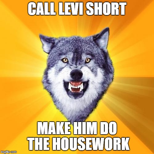 Courage Wolf | CALL LEVI SHORT; MAKE HIM DO THE HOUSEWORK | image tagged in memes,courage wolf | made w/ Imgflip meme maker