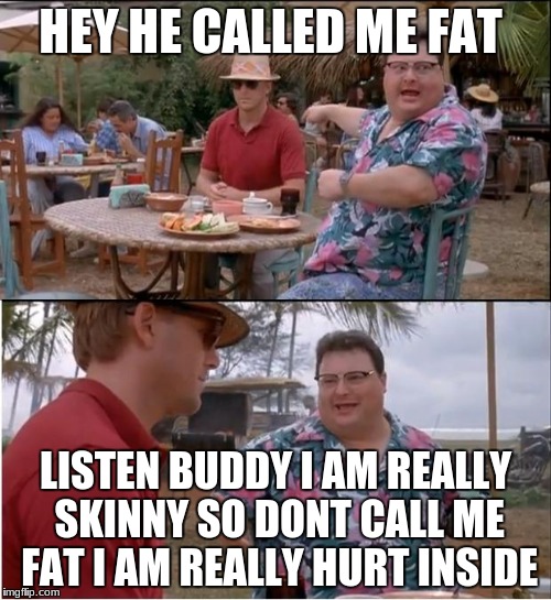 See Nobody Cares Meme | HEY HE CALLED ME FAT; LISTEN BUDDY I AM REALLY SKINNY SO DONT CALL ME FAT I AM REALLY HURT INSIDE | image tagged in memes,see nobody cares | made w/ Imgflip meme maker
