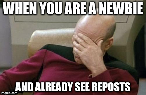 Captain Picard Facepalm Meme | WHEN YOU ARE A NEWBIE; AND ALREADY SEE REPOSTS | image tagged in memes,captain picard facepalm | made w/ Imgflip meme maker