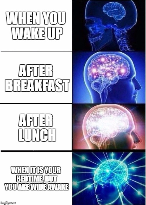 Expanding Brain | WHEN YOU WAKE UP; AFTER BREAKFAST; AFTER LUNCH; WHEN IT IS YOUR BEDTIME, BUT YOU ARE WIDE AWAKE | image tagged in memes,expanding brain | made w/ Imgflip meme maker