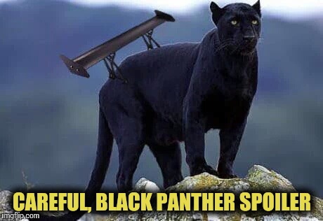 Black Panther Spoiler | CAREFUL, BLACK PANTHER SPOILER | image tagged in black panther,spoiler,pipe_picasso,marvel | made w/ Imgflip meme maker