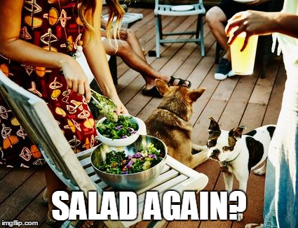 SALAD AGAIN? | made w/ Imgflip meme maker