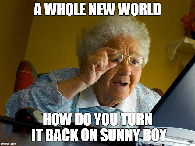 Grandma Finds The Internet Meme | A WHOLE NEW WORLD; HOW DO YOU TURN IT BACK ON SUNNY BOY | image tagged in memes,grandma finds the internet | made w/ Imgflip meme maker