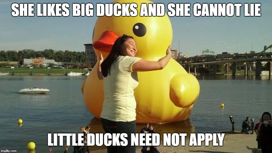 In keeping with an Ice theme | SHE LIKES BIG DUCKS AND SHE CANNOT LIE; LITTLE DUCKS NEED NOT APPLY | image tagged in big ducks,funny,funny memes | made w/ Imgflip meme maker