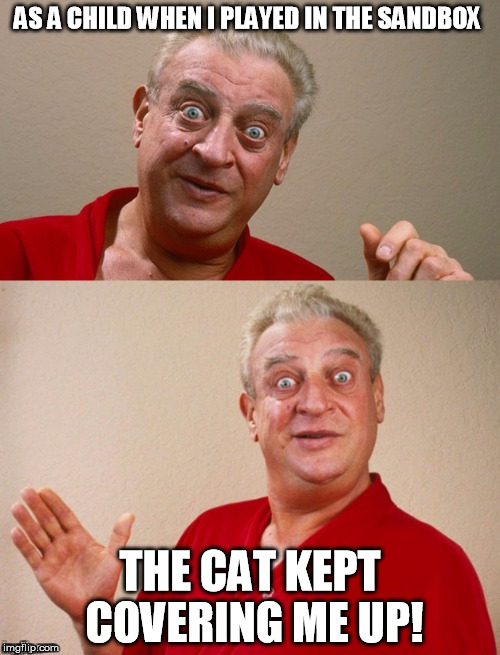 Classic Rodney | AS A CHILD WHEN I PLAYED IN THE SANDBOX; THE CAT KEPT COVERING ME UP! | image tagged in classic rodney | made w/ Imgflip meme maker