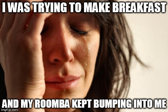First World Problems Meme | I WAS TRYING TO MAKE BREAKFAST; AND MY ROOMBA KEPT BUMPING INTO ME | image tagged in memes,first world problems | made w/ Imgflip meme maker