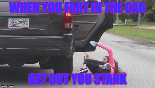 Fall Girl | WHEN YOU FART IN THE CAR; GET OUT YOU STANK | image tagged in fall girl | made w/ Imgflip meme maker